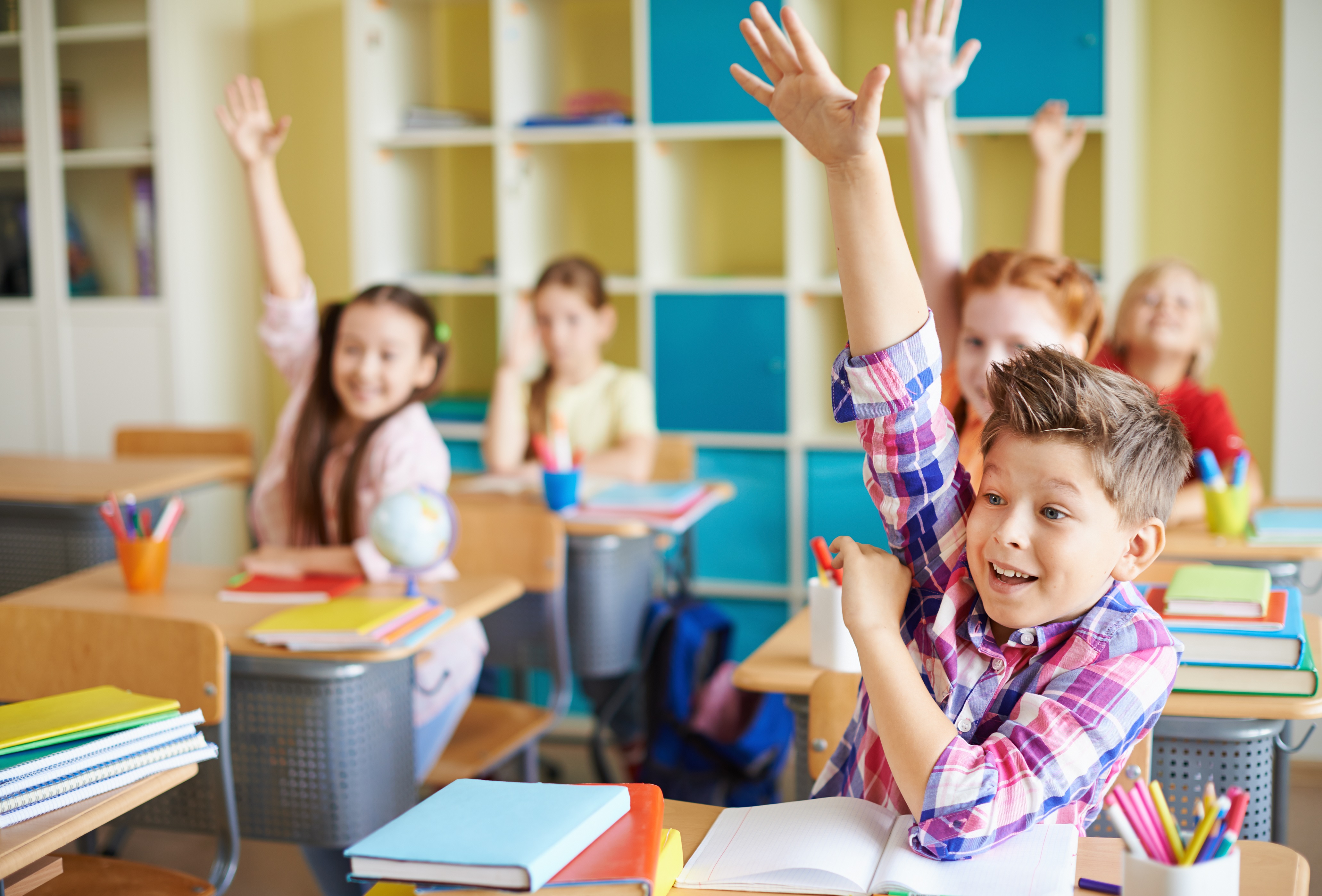 Sugar Free Schools by 2023